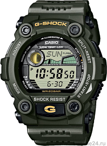 Casio 2024 module 3194